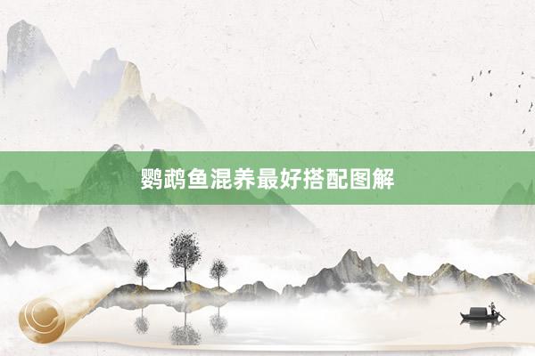 鹦鹉鱼混养最好搭配图解